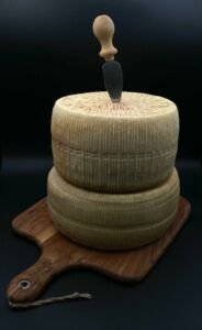 Formaggio pecorino semistagionato