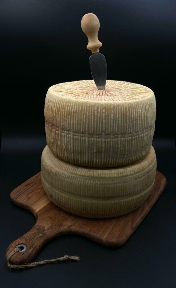 Formaggio pecorino semistagionato
